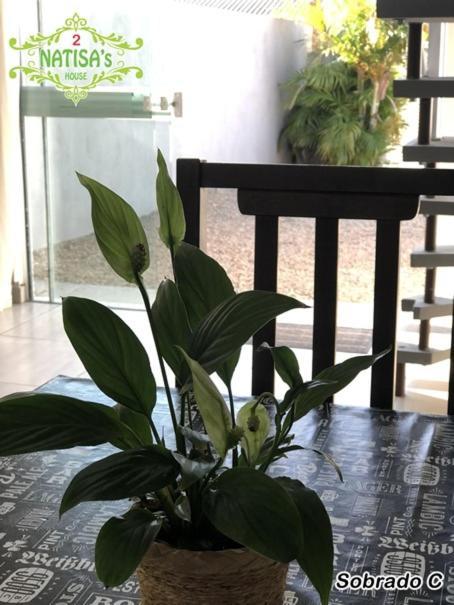 Sobrados Aconchegante Com Piscina "Natisashouse" Villa บอมบินญัส ภายนอก รูปภาพ